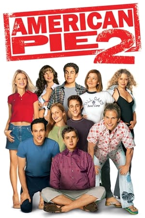 American Pie 2 (2001) Hindi Dual Audio 375MB