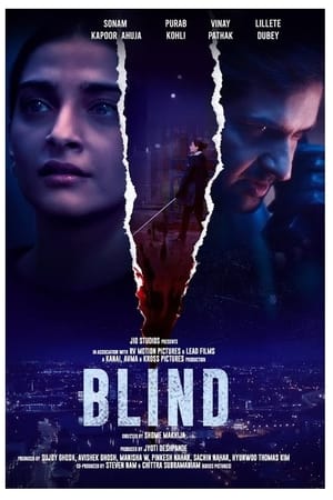 Blind 2023 Hindi | 480p