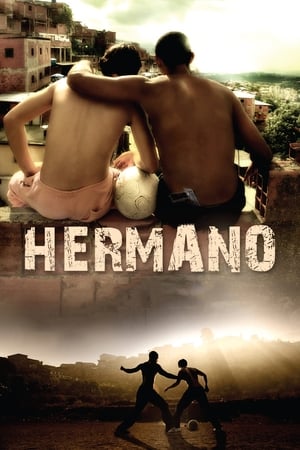 Hermano (2010) Hindi Dual Audio 300MB