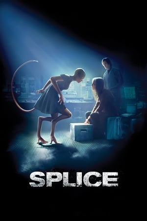 Splice 2009 Hindi Dual Audio 330MB