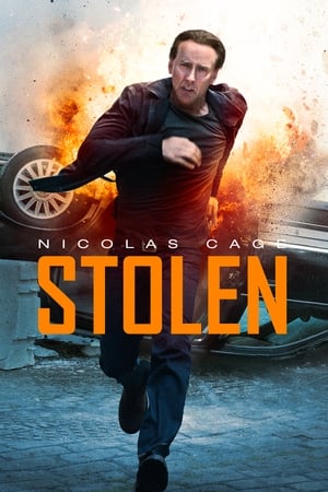 Stolen (2012) Hindi Dual Audio 300MB ESubs