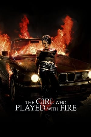 The Girl Who Played with Fire (2009) Hindi Dual Audio [800MB]